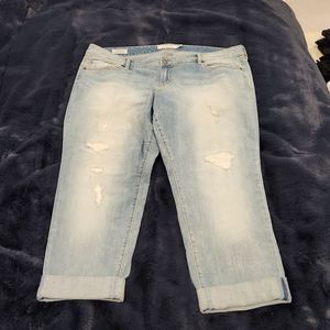 Light wash, lightly distressed Torrid boyfriend jeans size 20, new without tags!